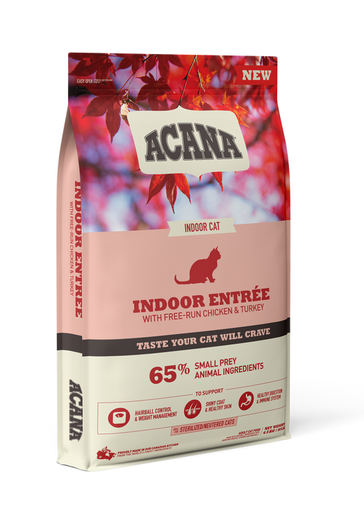 Indoor Entrée